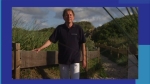 externer Link Video Lerninsel 2009